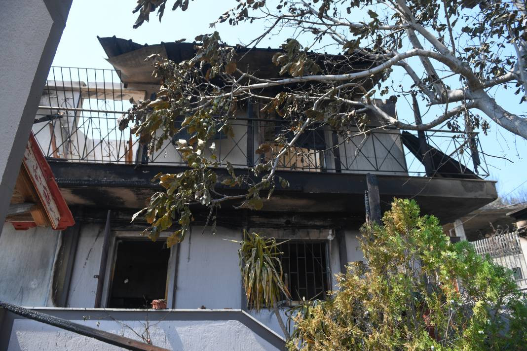 Meriç Bölgesi'nde yanan ormanlık alanda ceset bulundu - Resim: 5